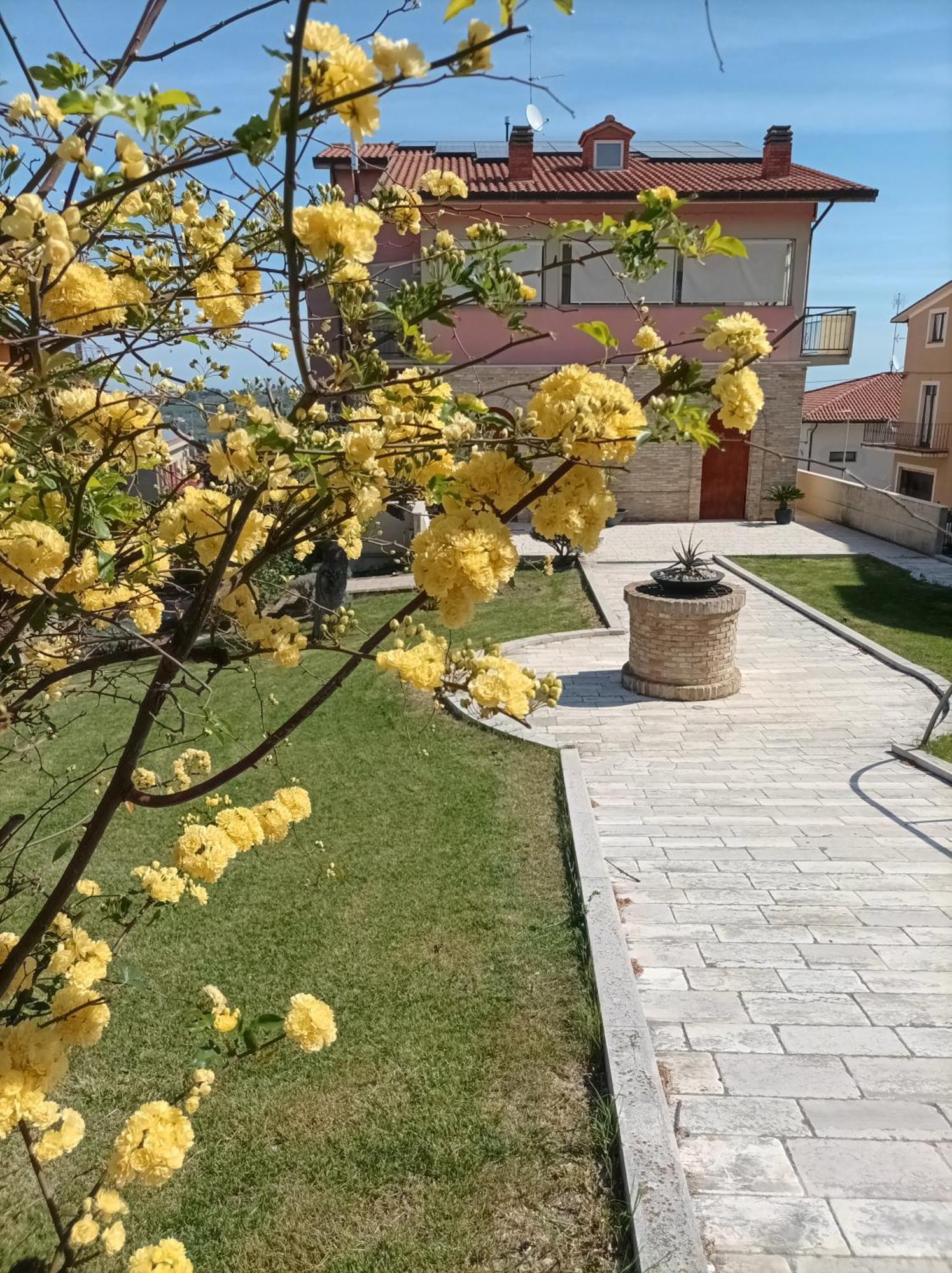 Villa Istonia Cupello Exterior foto